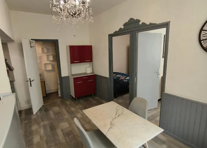 Apartmán Chaleureux Dans Le Centre De *