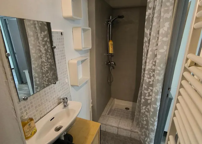 Apartmán Chaleureux Dans Le Centre De
