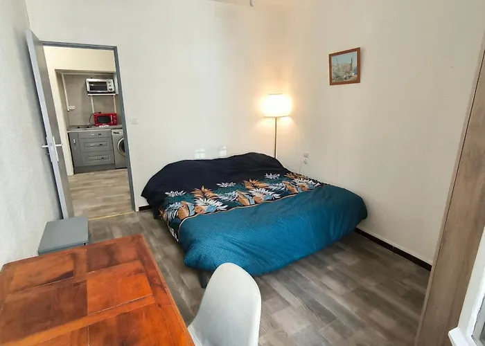 Apartmán Chaleureux Dans Le Centre De *