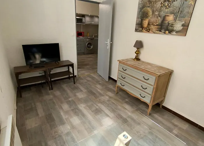 Apartmán Chaleureux Dans Le Centre De *